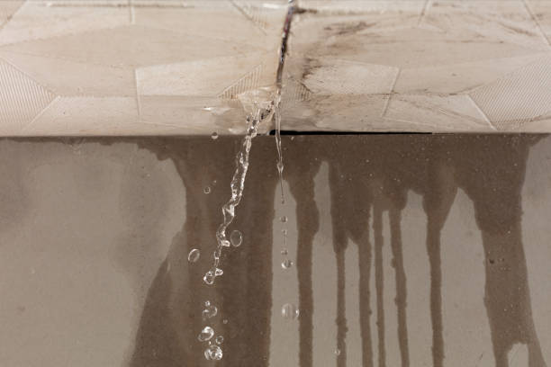 Professional Water Extraction technician working in Summitville, IN